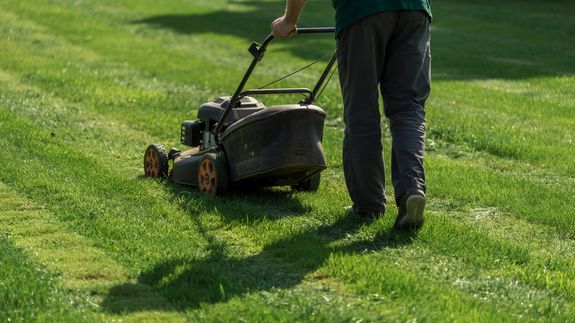 Person Using Lawn Mower