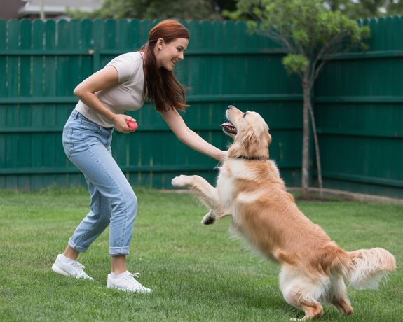 Why Seattle Dog Parents Trust Our Boutique Daycare