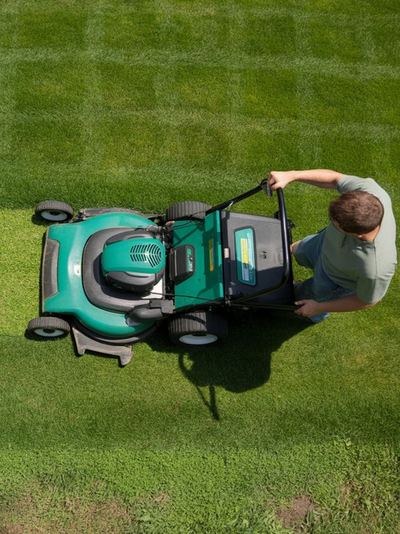 Lawn Mowing & Trimming