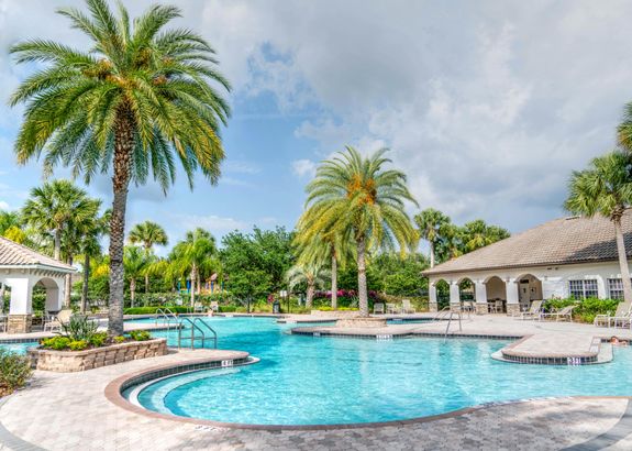 Swimming Pool Near Palm Tree