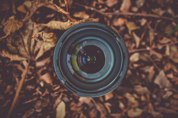 Black Camera Lens on Brown Dried Leaf