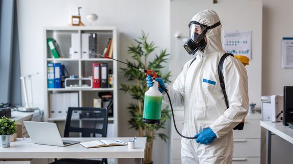 Can you provide a pest prevention plan for my Mentor home?