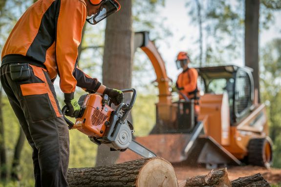 Comprehensive Tree Care Solutions