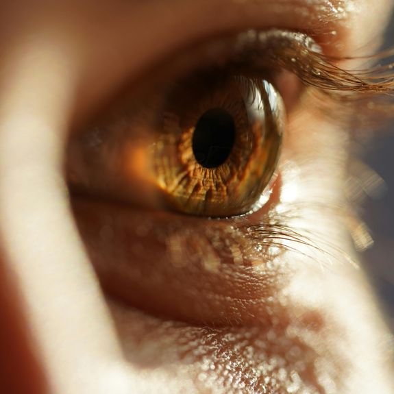 Contact Lenses