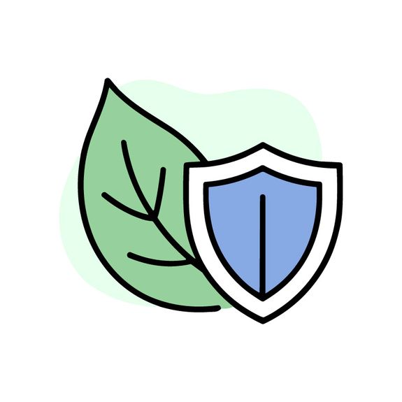 Eco-Friendly Treatments