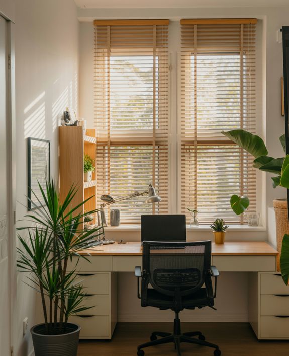 Venetian Blinds