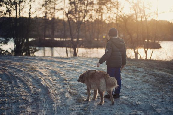 Person Holding Dog