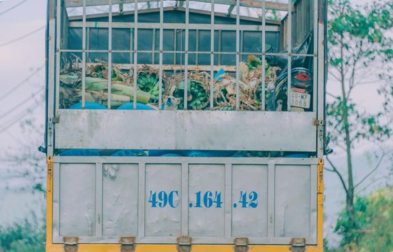 Eco-Friendly Disposal Practices