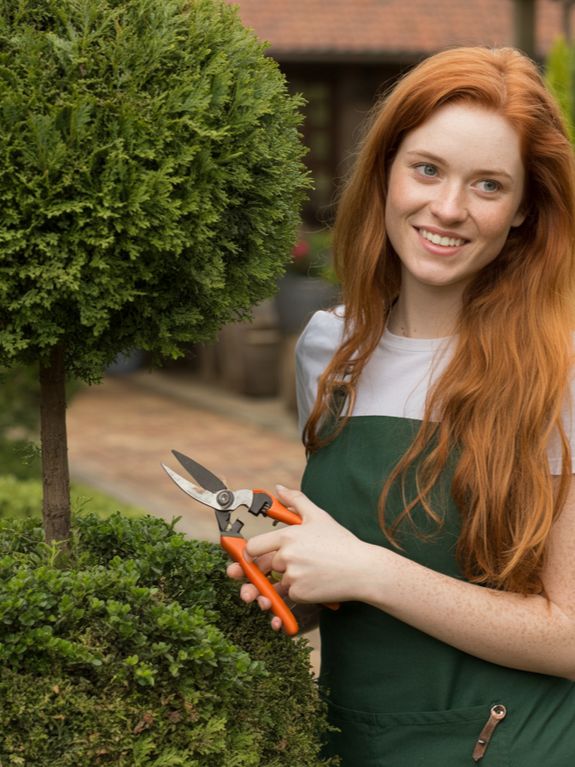 Tree & Shrub Care