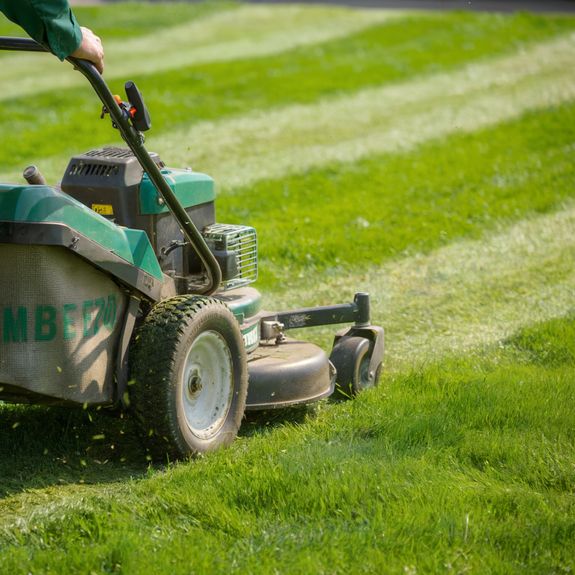 Photo Of Green Grass
