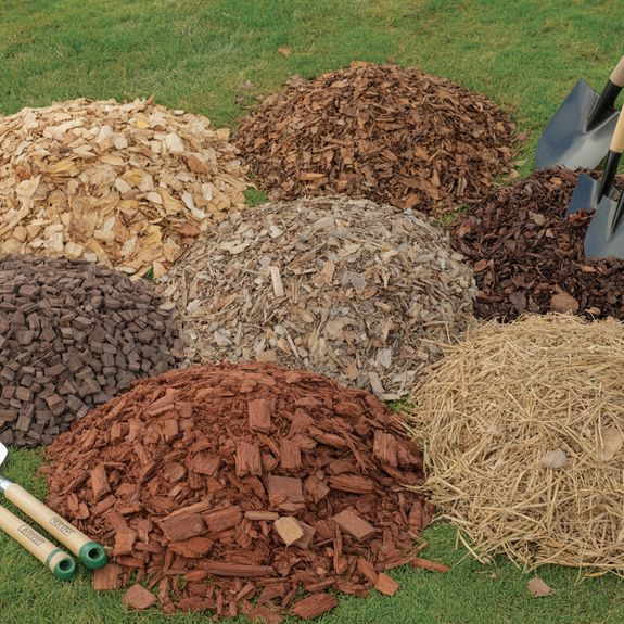 When is the best time to apply mulch?