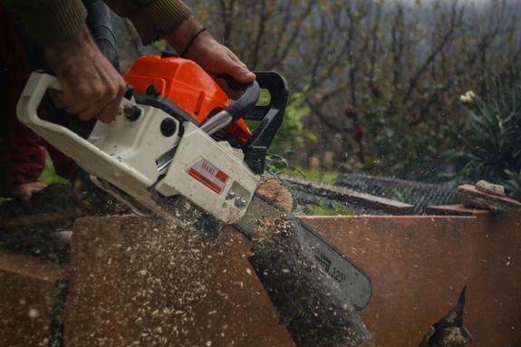 What should I do if a tree falls on my property?