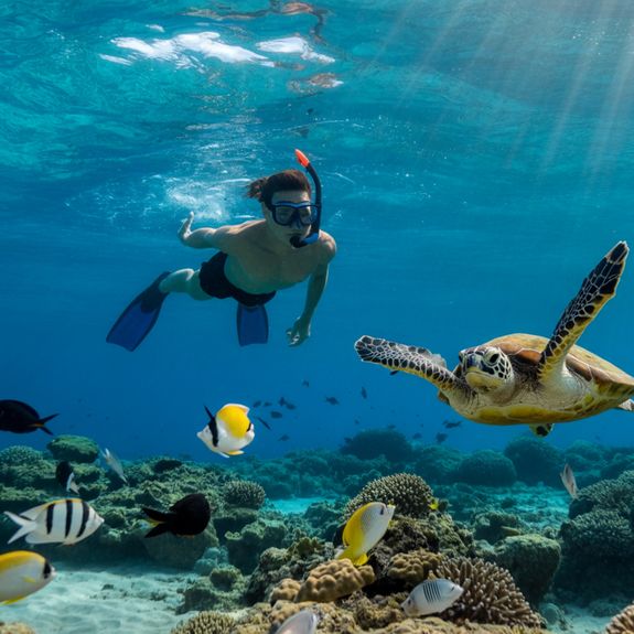 Snorkel the Coral Reefs