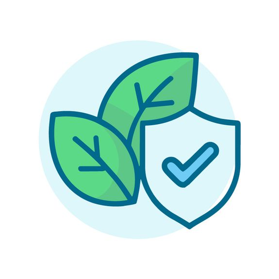 Safe and Eco-Friendly Solutions