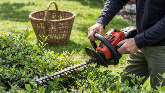 Local Expertise You Can Trust