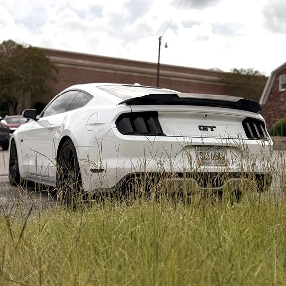 Why we do what we do