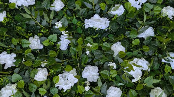 Flower Wall Rental