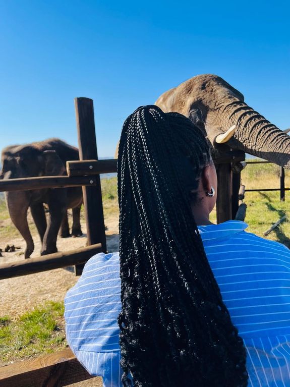Guided Safari Tours