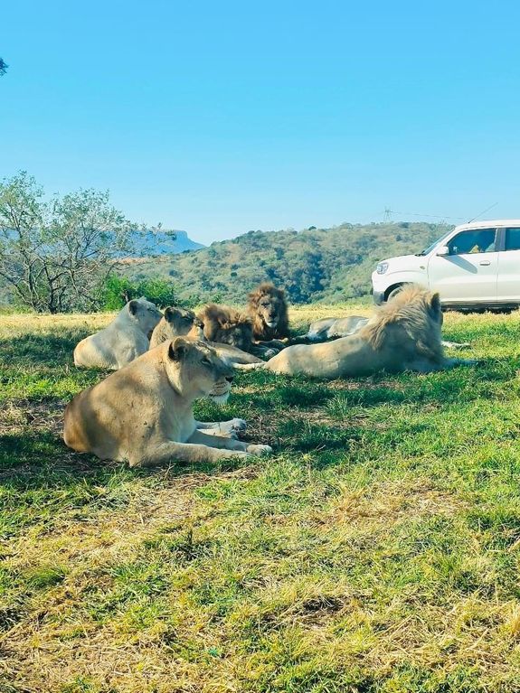 Custom Safari Journeys