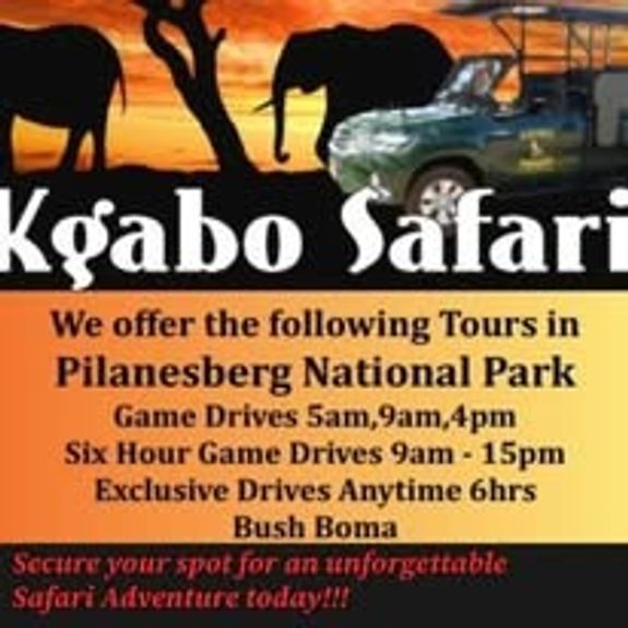 Custom Tours