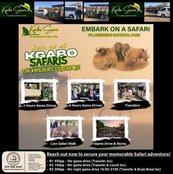 Custom Tours