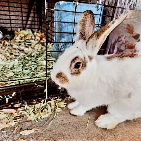 Personalized Experience