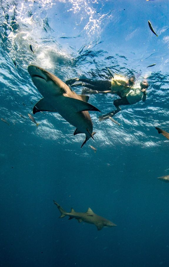 How long does the snorkeling experience last?
