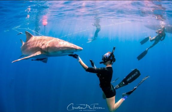 What should I bring on my snorkeling trip?