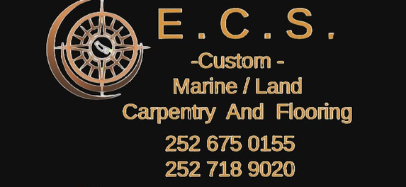 E.c.s. logo