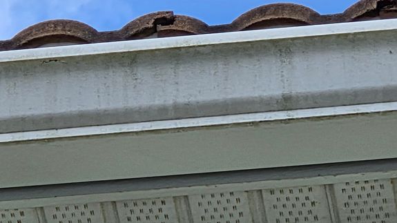 Clear the Clutter in Clermont.