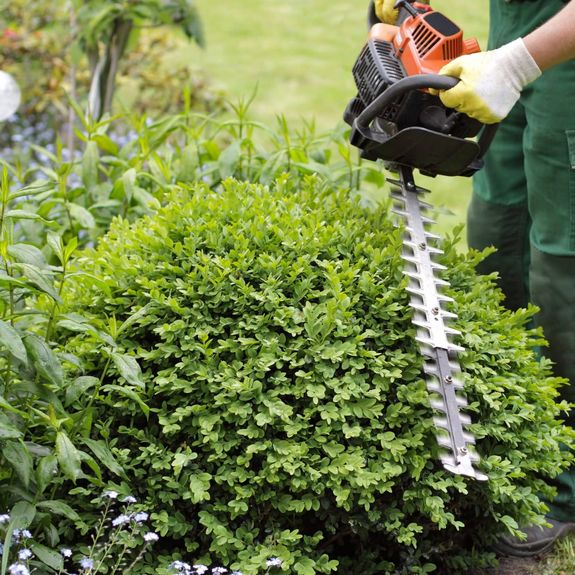 Regular/One Off Garden Maintenance.