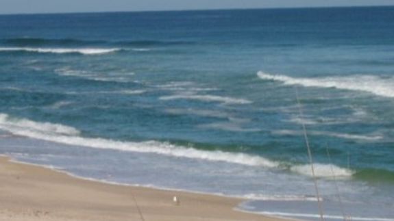 Premier Properties Real Estate, Inc: Your Trusted Partner in Melbourne Beach, FL since 1981!