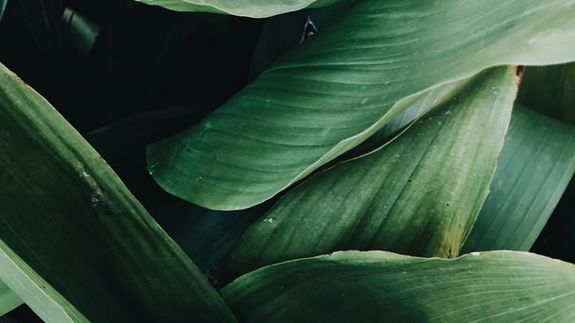 When is the last time you felt like yourself?