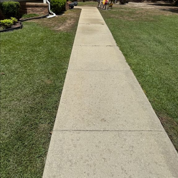 Driveway and Sidewalk Cleaning