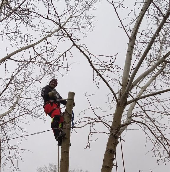 Your Trusted Tree Care Experts in Coronation, AB