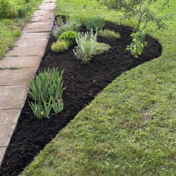 Lawn Care Services