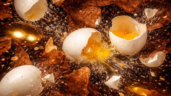 Mike’s Mugshots | Custom Design & Vintage Coffee Mugs | Grayson, GA