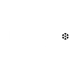 Dirty O Detailing logo