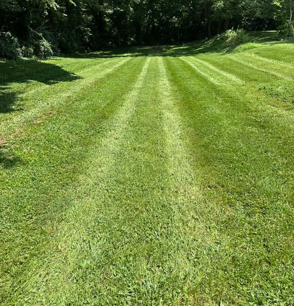 Personalized Services Tailored to You