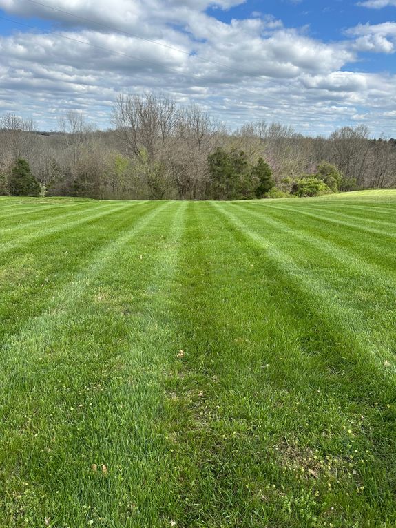 Regular Lawn Maintenance