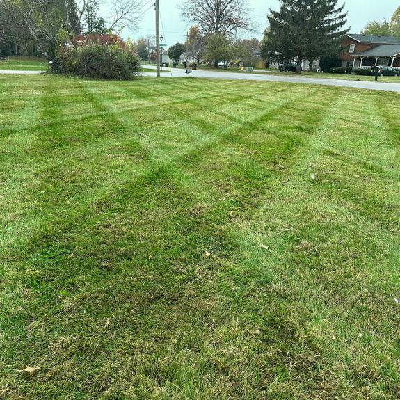 Passion for Lawn Care With Every Job