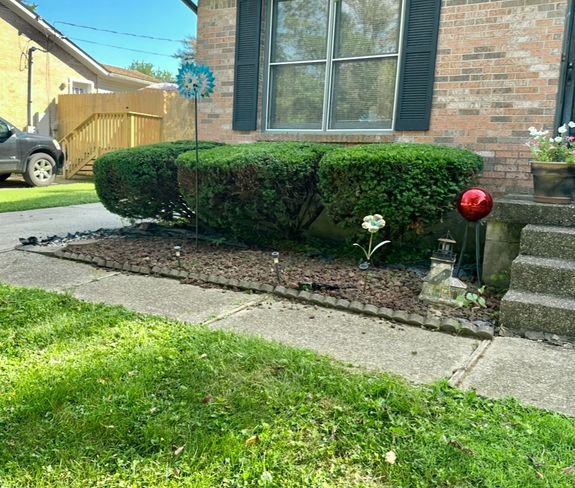 Comprehensive Lawn Maintenance Solutions