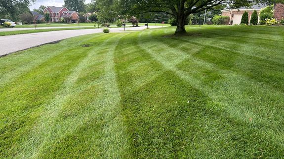 Transform Your Outdoors with Cole Bear Lawn Care