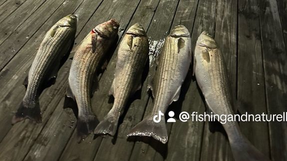 Fisherman Squatting and Holding Fish
