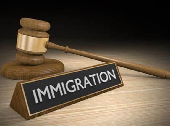 Immigration cases