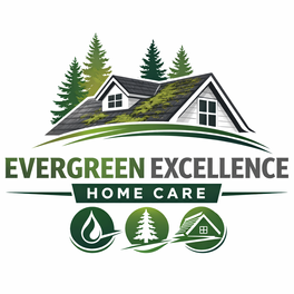 Roof & gutter cleaning  logo
