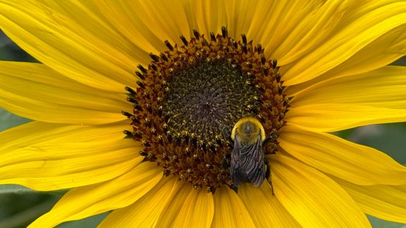 Coral Spa Secrets Has Moved