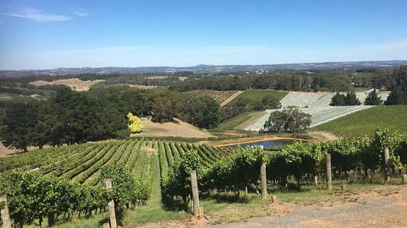 Experience Adelaide Hills and Barossa like Never Before with Richard's Bus Tours