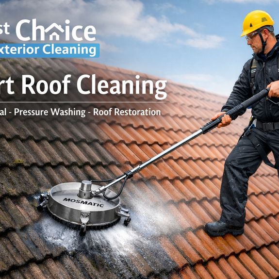 Roof Cleaning.