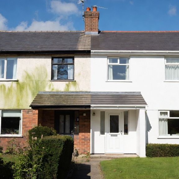 WHAT SURFACES CAN BE SOFT WASHED !